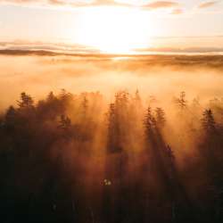 2025 Earth Month Events