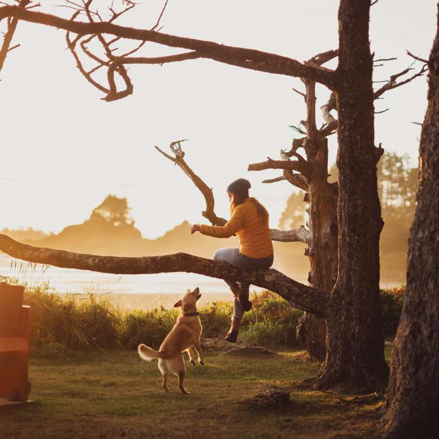 PS_Life_Pet_Sunset_HKang_4529030_2018_XL