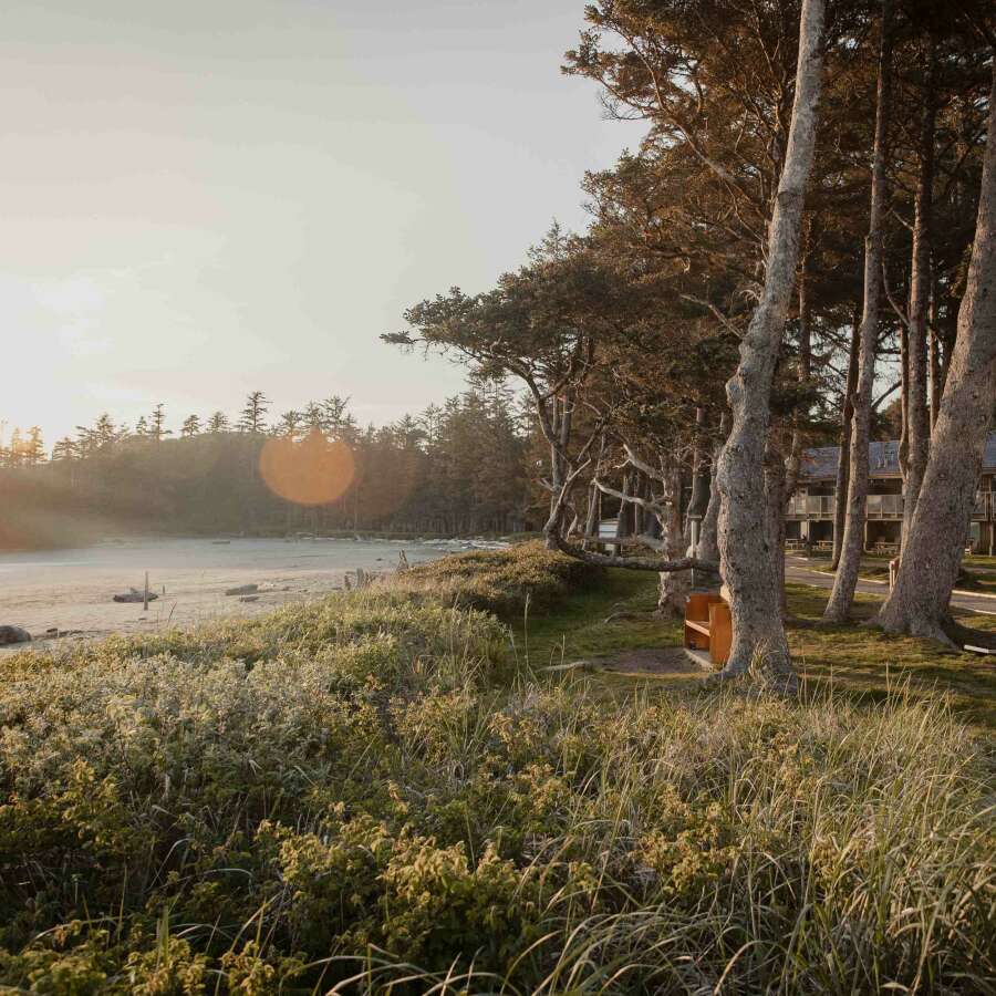 Website Square Image (12)