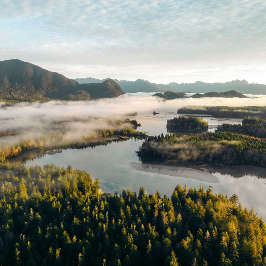 Clayoquot Sound Aerial