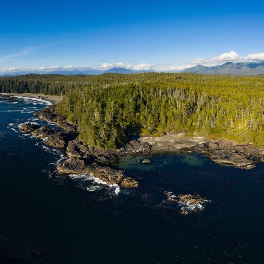 WCRS-Aerial-View-of-Coast